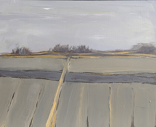 Mendocino Bluffs foggy day gray fields